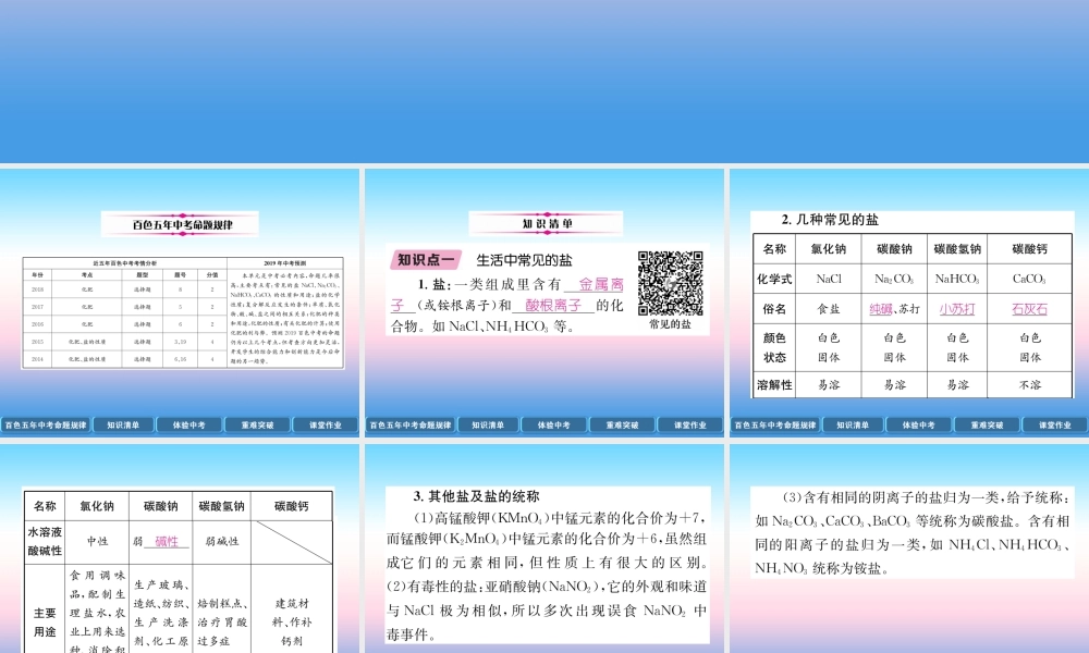 中考化学复习 第1编 教材知识梳理篇 第11单元 盐 化肥(精讲)课件