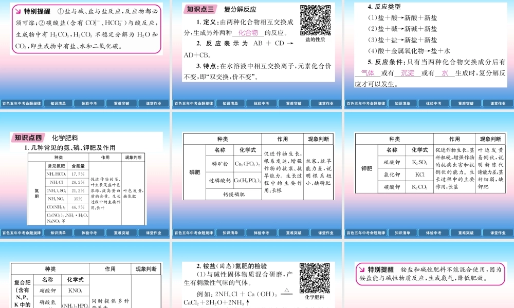 中考化学复习 第1编 教材知识梳理篇 第11单元 盐 化肥(精讲)课件