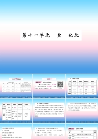 中考化学复习 第1编 教材知识梳理篇 第11单元 盐 化肥(精讲)课件