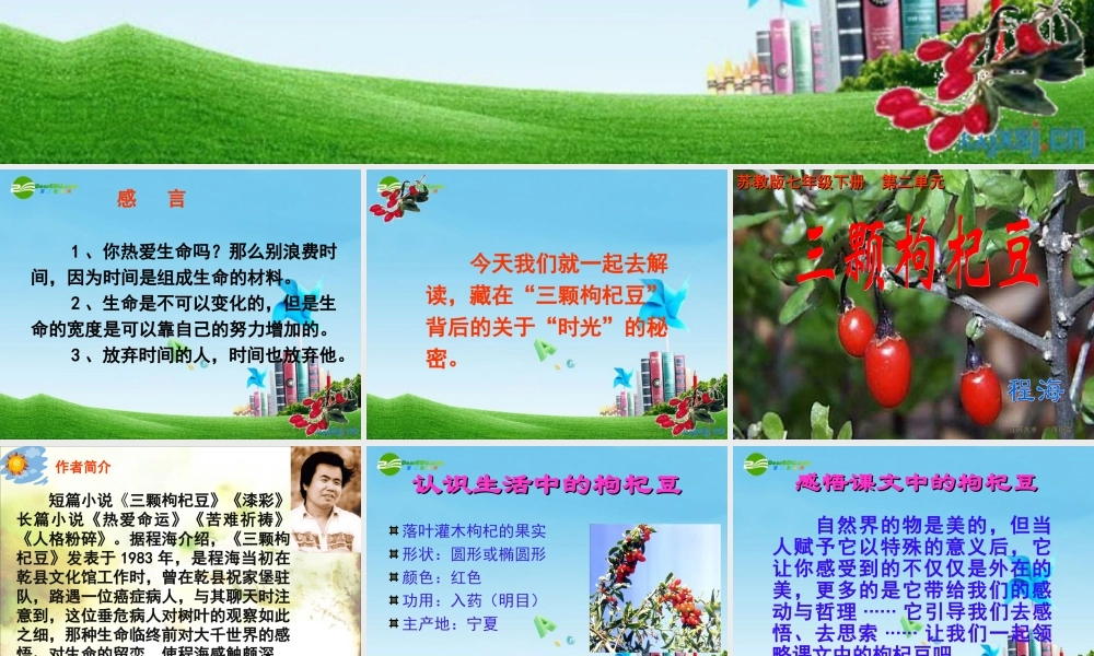 七年级语文下册(三颗枸杞豆)优秀实用课件 苏教版 课件