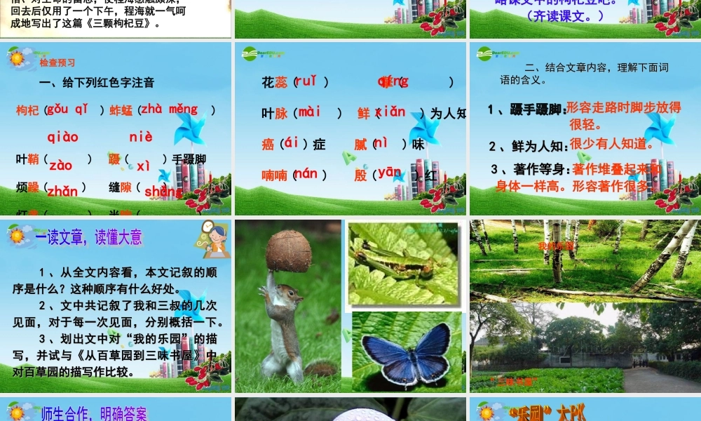 七年级语文下册(三颗枸杞豆)优秀实用课件 苏教版 课件
