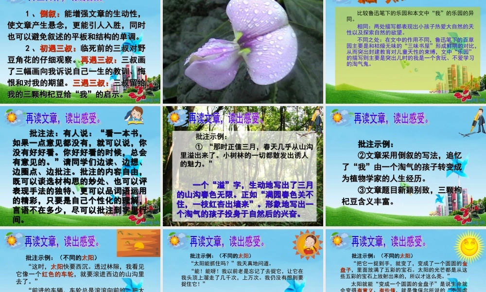 七年级语文下册(三颗枸杞豆)优秀实用课件 苏教版 课件