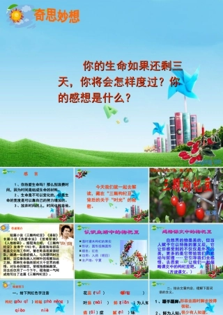七年级语文下册(三颗枸杞豆)优秀实用课件 苏教版 课件