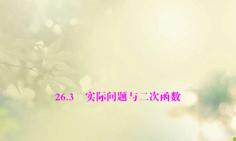 九年级数学下册 第二十六章 二次函数 263 实际问题与二次函数配套课件 新人教版 课件