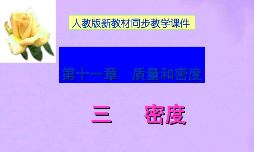 九年级物理(113密度)课件 人教课标版 课件