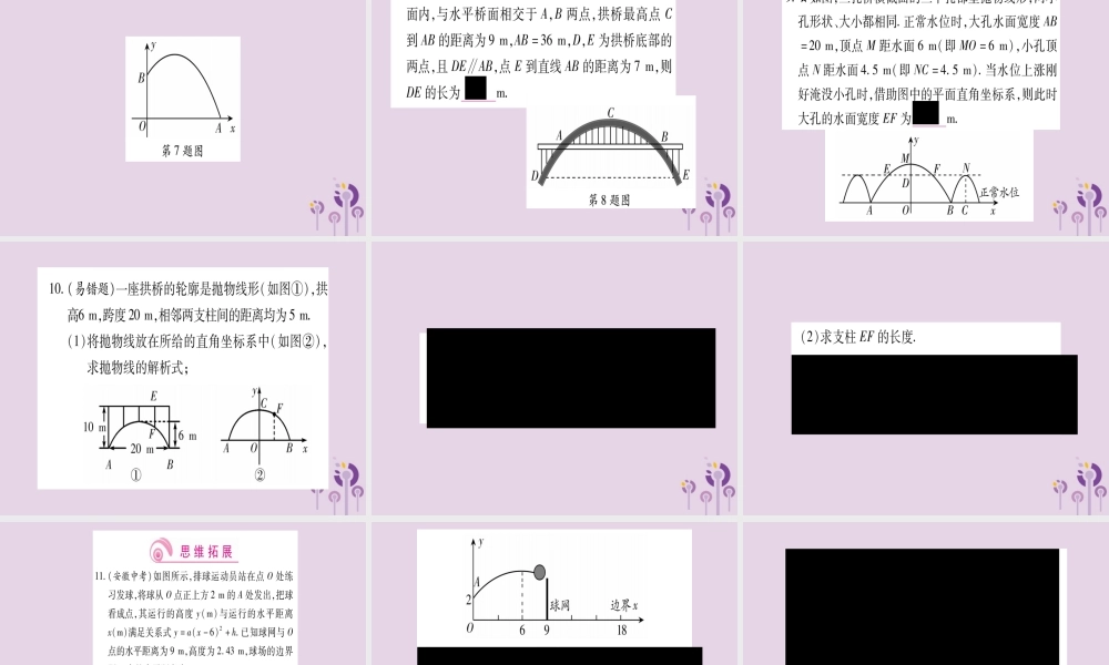 九年级数学上册 第二十二章 二次函数 223 实际问题与二次函数 第3课时 作业课件 (新版)新人教版 课件
