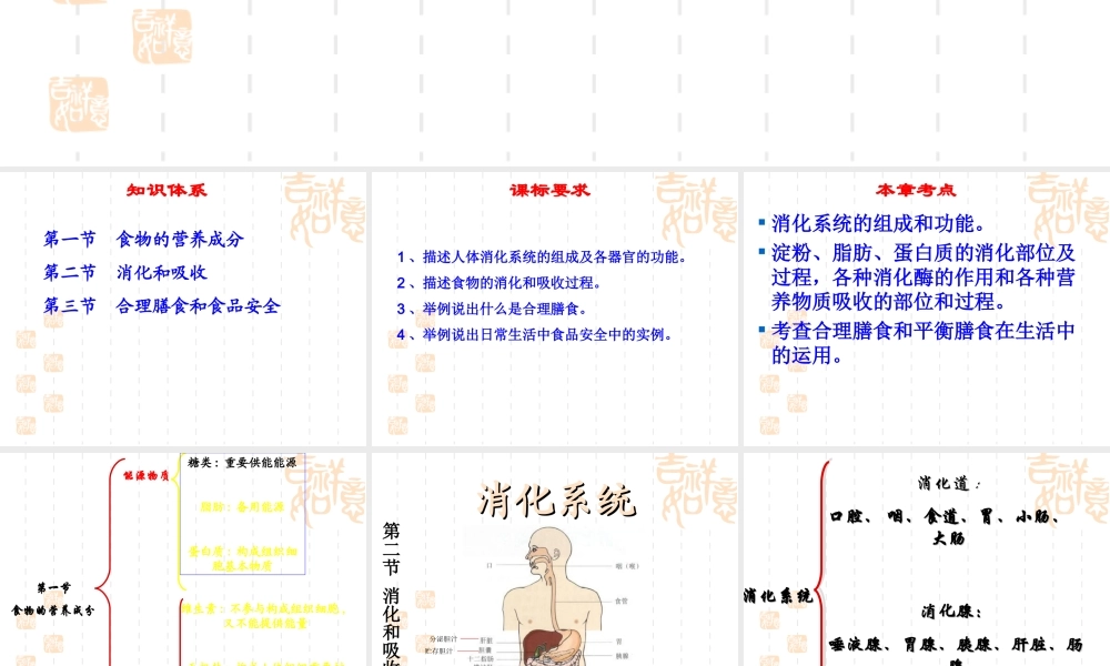 初中生物第三单元第一章人的生活需要营养复习课件(济南版) 课件