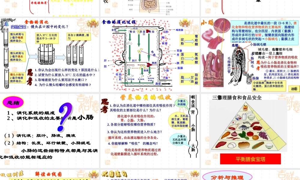 初中生物第三单元第一章人的生活需要营养复习课件(济南版) 课件