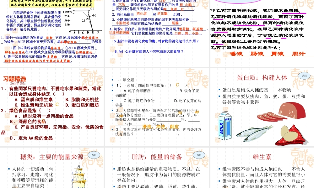 初中生物第三单元第一章人的生活需要营养复习课件(济南版) 课件