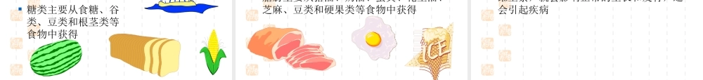 初中生物第三单元第一章人的生活需要营养复习课件(济南版) 课件