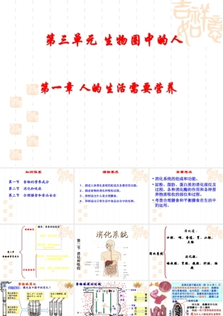 初中生物第三单元第一章人的生活需要营养复习课件(济南版) 课件