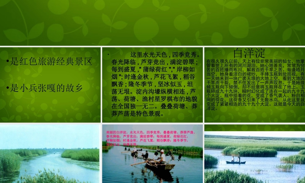 中学八年级语文上册 2 芦花荡课件 新人教版 课件