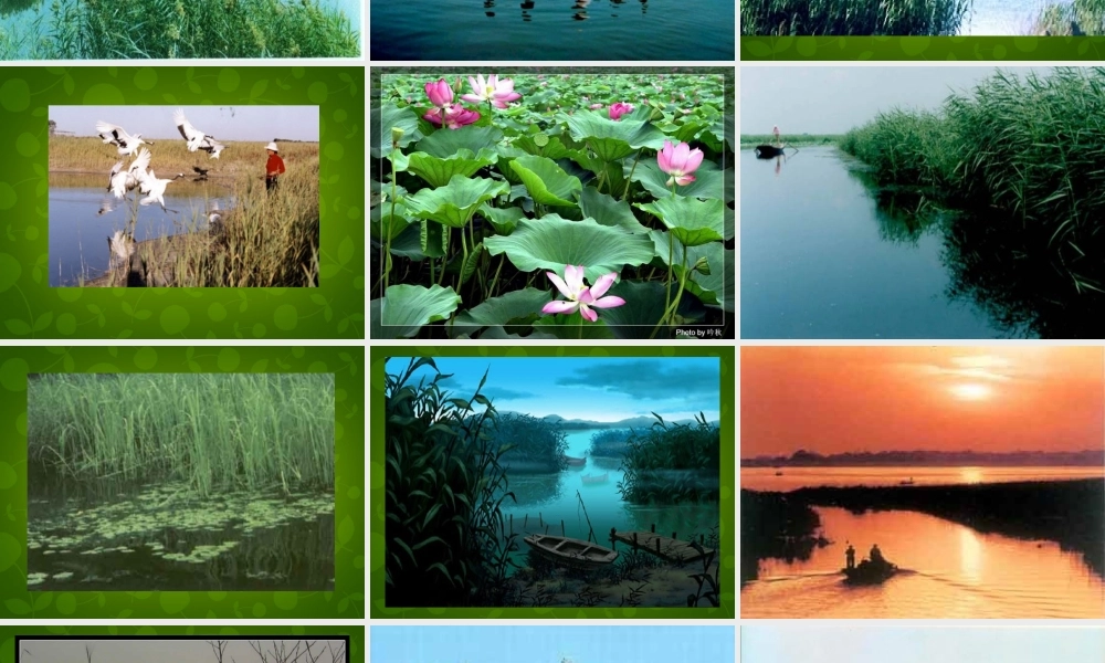 中学八年级语文上册 2 芦花荡课件 新人教版 课件