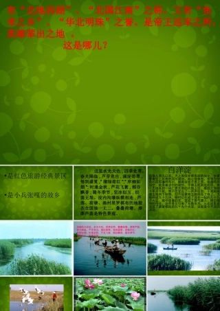 中学八年级语文上册 2 芦花荡课件 新人教版 课件