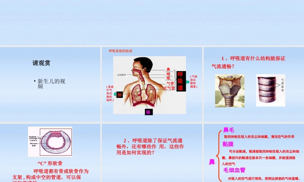 七年级生物下册 呼吸道对空气的处理课件2  人教新课标版 课件
