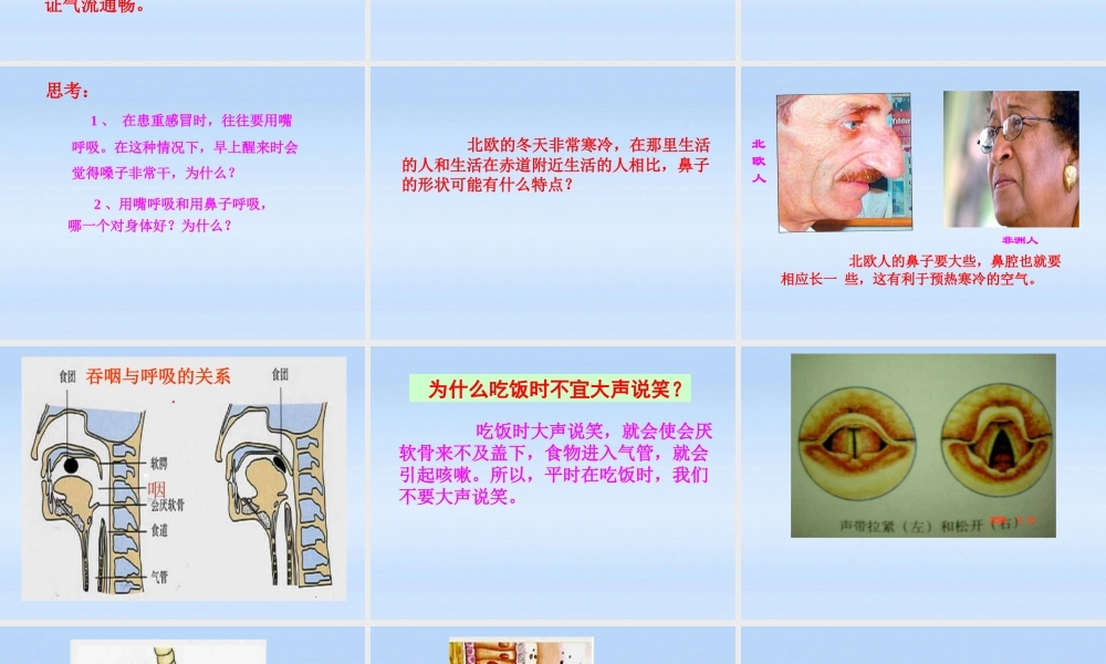 七年级生物下册 呼吸道对空气的处理课件2  人教新课标版 课件