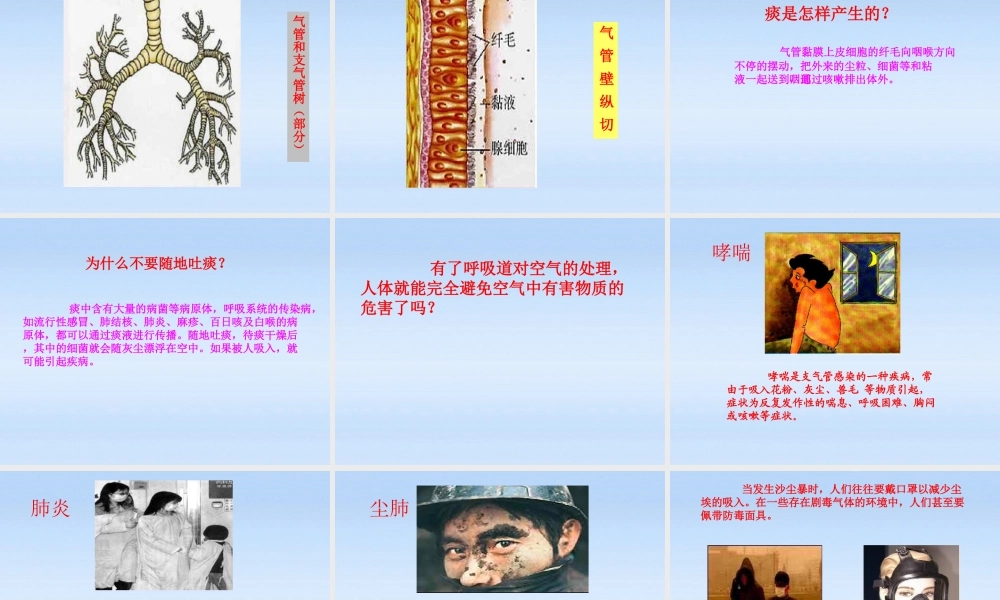 七年级生物下册 呼吸道对空气的处理课件2  人教新课标版 课件
