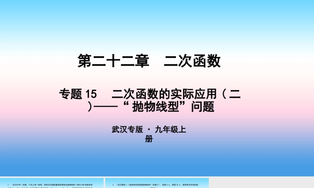 九年级数学上册 第二十二章 二次函数 专题15 二次函数的实际应用(二)— 抛物线型 问题课件 (新版)新人教版 课件