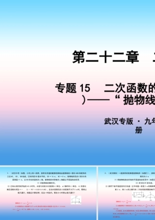 九年级数学上册 第二十二章 二次函数 专题15 二次函数的实际应用(二)— 抛物线型 问题课件 (新版)新人教版 课件