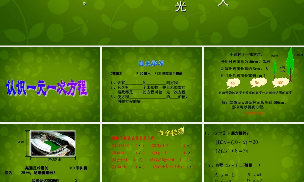 中学七年级数学上册 5.1 认识一元一次方程课件1 (新版)北师大版