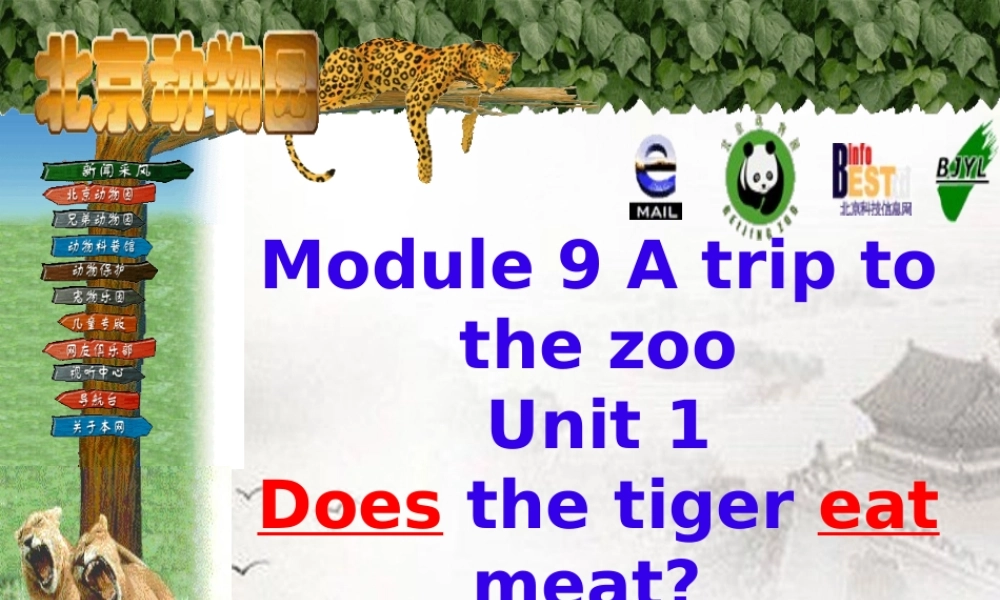 七年级英语上册 Module 9 Unit 1 Does the tiger eat meat课件 外研版 课件