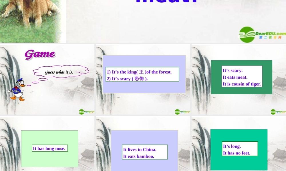 七年级英语上册 Module 9 Unit 1 Does the tiger eat meat课件 外研版 课件