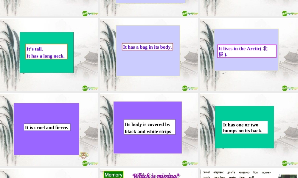 七年级英语上册 Module 9 Unit 1 Does the tiger eat meat课件 外研版 课件