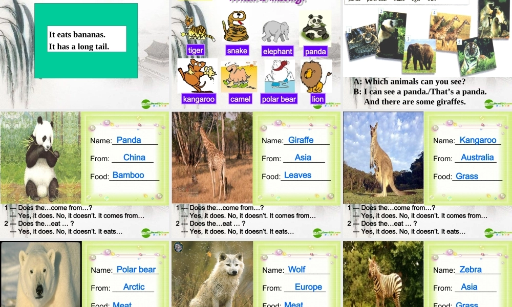 七年级英语上册 Module 9 Unit 1 Does the tiger eat meat课件 外研版 课件