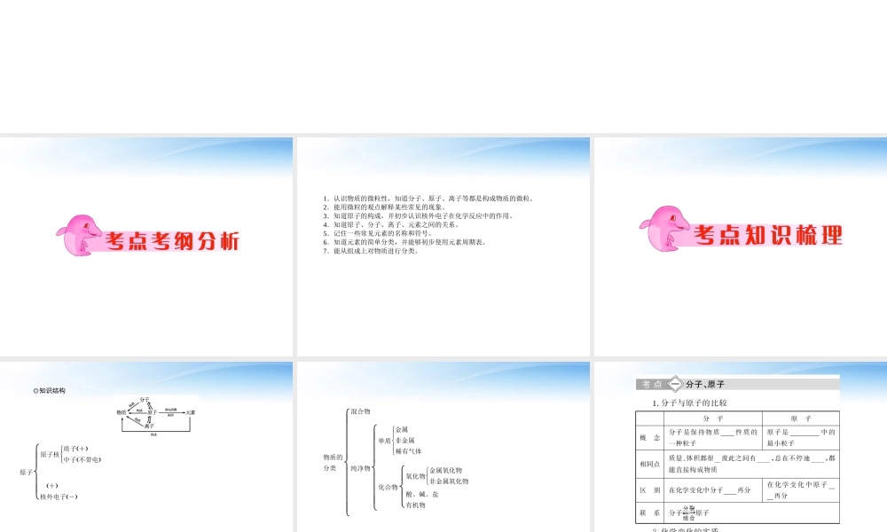 中考化学 专题8物质的组成 构成与分类复习课件