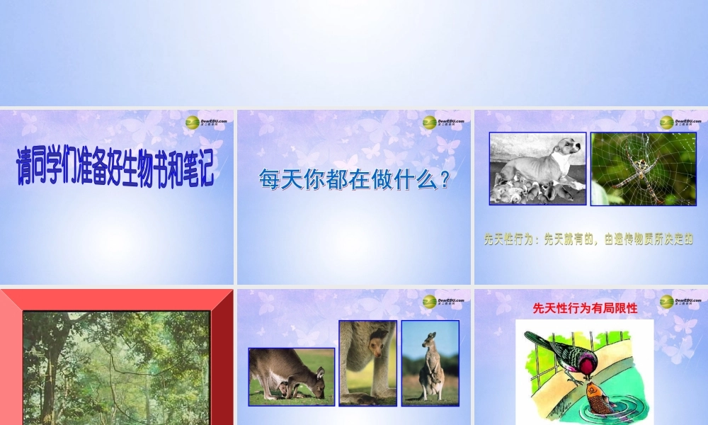 中学八年级生物上册 第五单元 第二章 第二节 先天性行为和学习行为课件 新人教版 课件