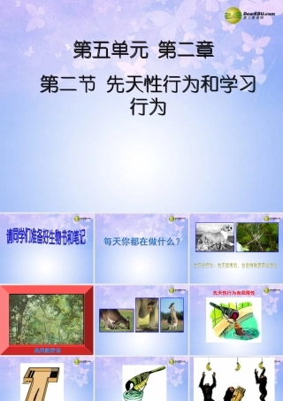 中学八年级生物上册 第五单元 第二章 第二节 先天性行为和学习行为课件 新人教版 课件