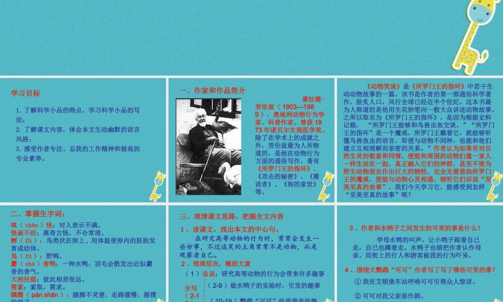 七年级语文上册 第五单元 17(动物笑谈)课件 新人教版 课件