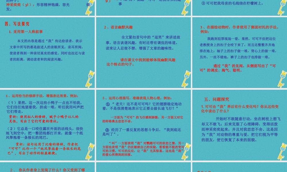 七年级语文上册 第五单元 17(动物笑谈)课件 新人教版 课件