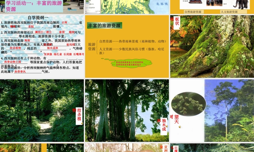 八年级地理下册 西南边陲的特色旅游区 西双版纳课件 人教新课标版 课件