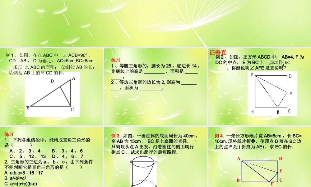 八年级数学上册 第3章 勾股定理课件2 (新版)苏科版 课件