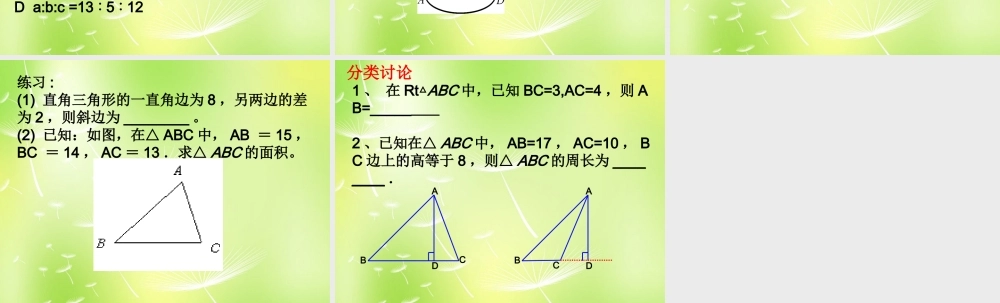 八年级数学上册 第3章 勾股定理课件2 (新版)苏科版 课件