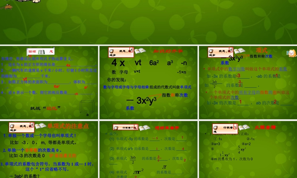 中学七年级数学上册 2.1 整式课件 (新版)新人教版