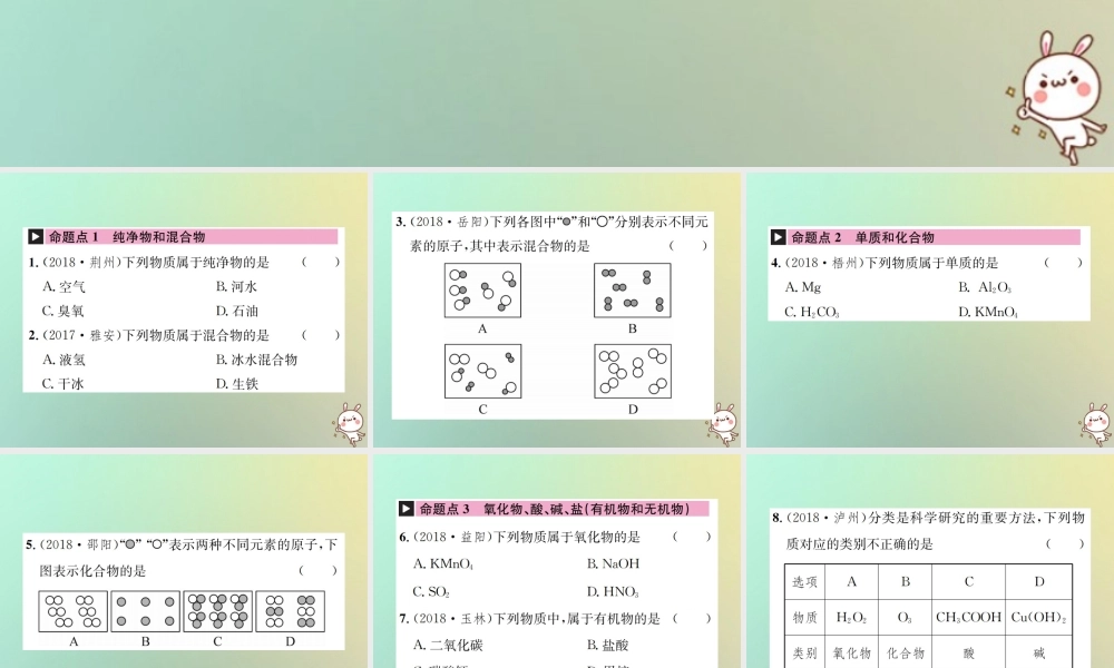 中考化学复习 主题二 物质构成的奥秘 第8讲 物质的分类课件