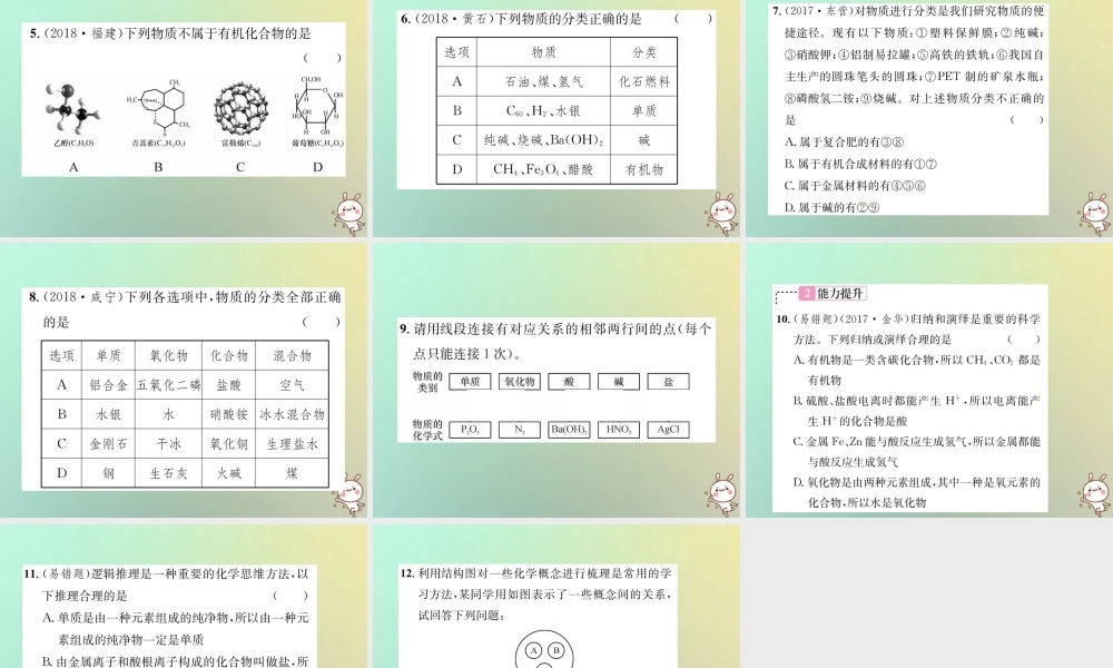 中考化学复习 主题二 物质构成的奥秘 第8讲 物质的分类课件