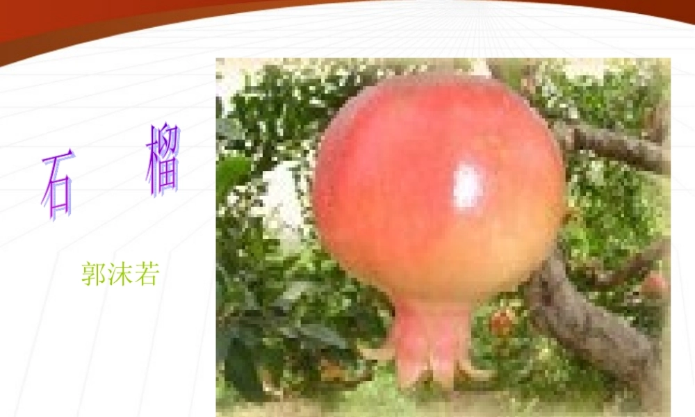 八年级语文下册(石榴)课件2 苏教版 课件