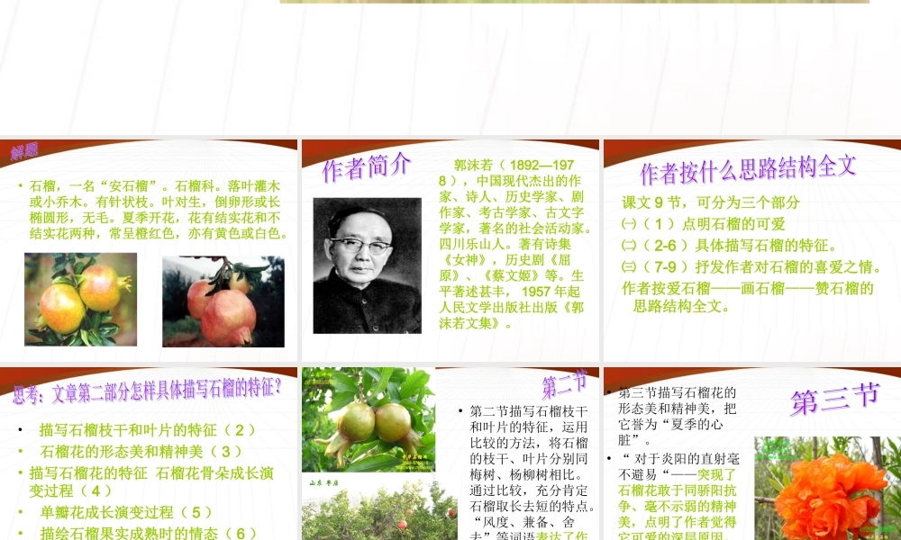 八年级语文下册(石榴)课件2 苏教版 课件