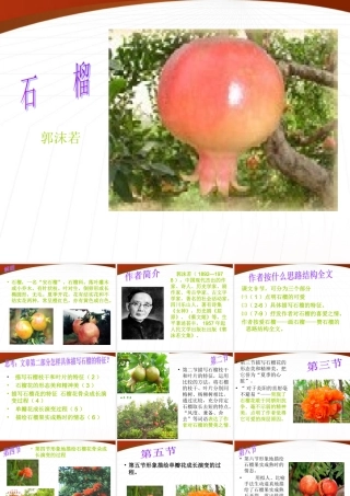 八年级语文下册(石榴)课件2 苏教版 课件