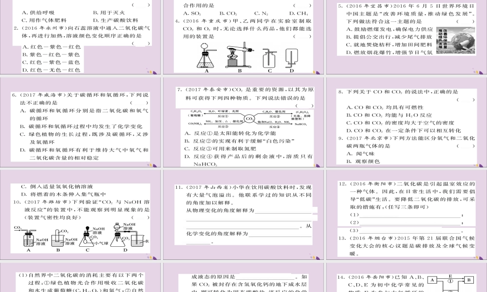 中考化学总复习 第一轮复习 系统梳理 夯基固本 第12讲 二氧化碳的制取性质和用途练习课件