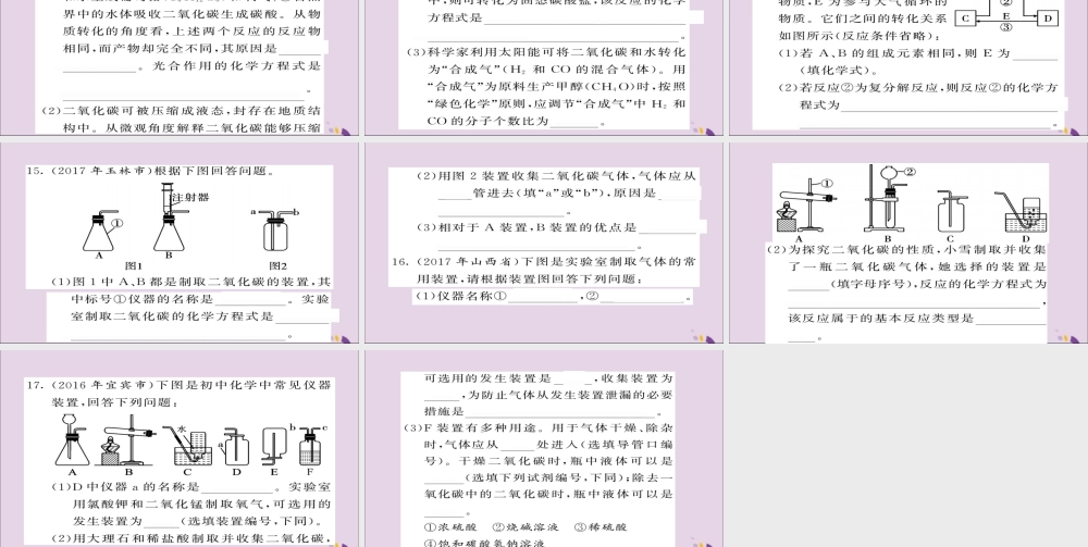 中考化学总复习 第一轮复习 系统梳理 夯基固本 第12讲 二氧化碳的制取性质和用途练习课件