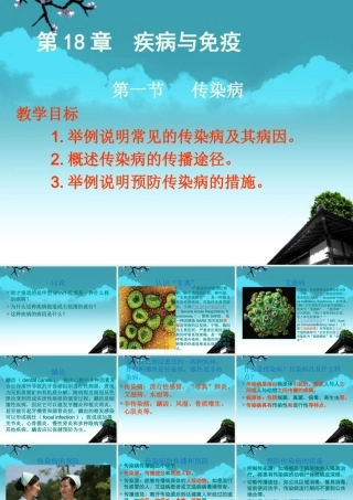 云南省麻栗坡县八年级生物上册(18.1 传染病)课件 苏教版 课件