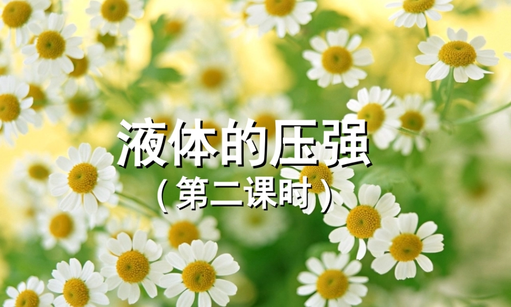 八年级物理下册 液体的压强2复习专题课件 教科版 课件