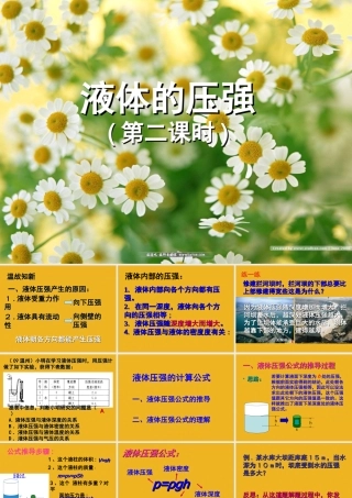 八年级物理下册 液体的压强2复习专题课件 教科版 课件