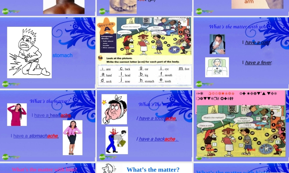 七年级英语上册 Unit 5 What s the matter Section A 1a-2c课件 鲁教版五四制 课件