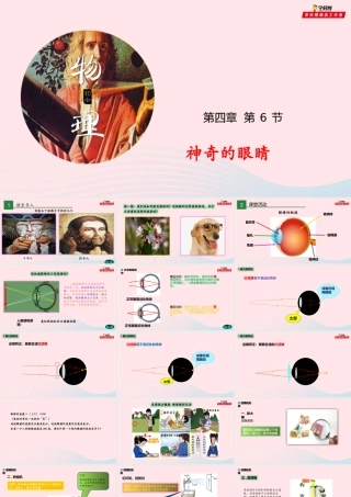 八年级物理全册 4.6 神奇的眼睛课件 (新版)沪科版 课件