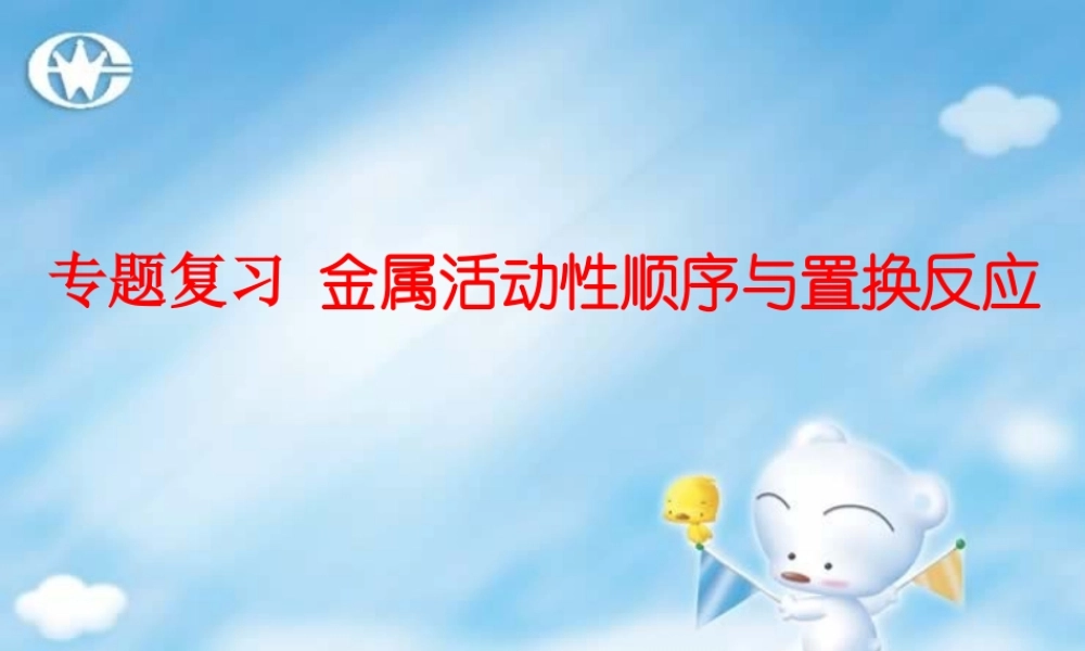 初三化学专题复习 金属活动性顺序与置换反应 课件